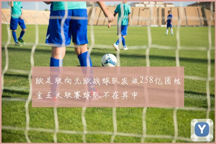 欧足联向无欧战球队发放258亿团结金五大联赛球队不在其中