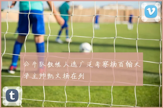 公牛队教练人选广泛考察杨百翰大学主帅凯文杨在列