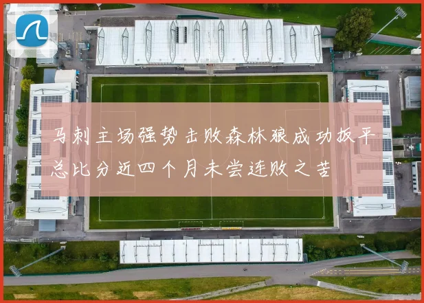 马刺主场强势击败森林狼成功扳平总比分近四个月未尝连败之苦